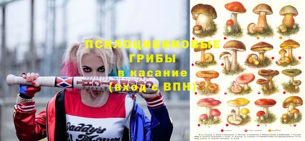PSILOCYBIN Алексин