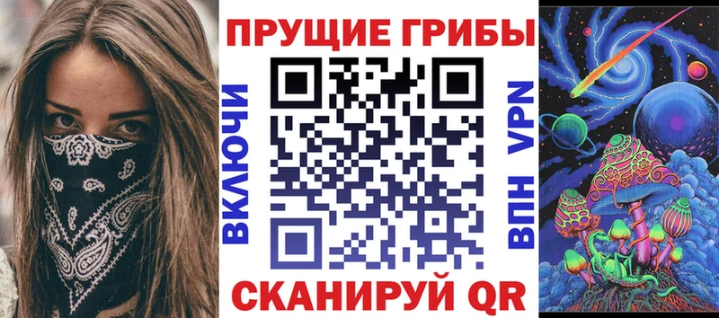 купить   Яровое  Псилоцибиновые грибы мицелий 